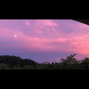 Meet your Posher, Piper